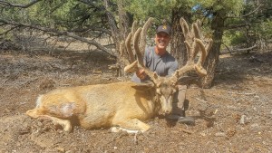 Elk, Mule Deer, Bighorn Sheep, Antelope, Mountain Lion