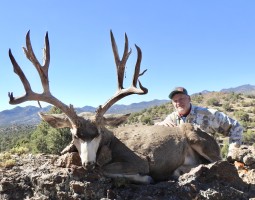 Elk, Mule Deer, Bighorn Sheep, Antelope 