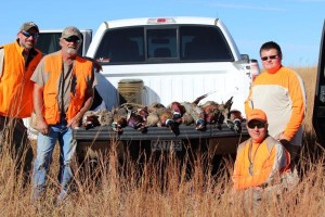 Pheasant, Qual, Turkey, Duck, Goose