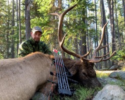 Elk, Black Bear, Mule Deer 