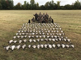 Duck, Snow Goose, Pheasant, Turkey, Whitetail Deer