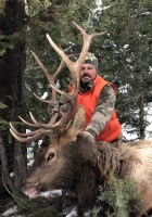 Elk, Big Horn Sheep, Deer, Mountain Goat, Mountain Lion