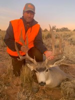 Elk, Mule Deer, Bison, Cougar, Bear, Bighorn Sheep, Turkey Hunts