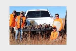 Pheasant, Quail, Turkey, Waterfowl