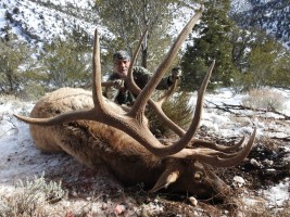 Elk