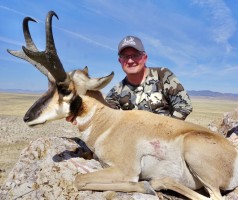 Antelope 