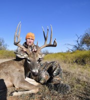 Whitetail Deer