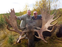 Moose