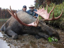 Moose