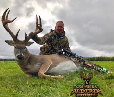 Whitetail Deer