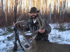 Whitetail Deer