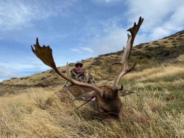 Fallow, Red Stag, Rams, Goat, Chamois, Tahr