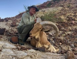 Aoudad, Elk, Sika, Axis, Black Buck, Mouflon, Javelina, Mule Deer, Turkey, Whitetail, Hog, Dove, Quail