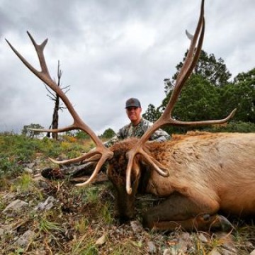 Elk, Mule Deer, Whitetail Deer, Antelope, Oryx