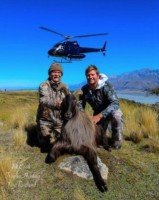 Red Stag, Tahr, Chamois, Elk, Fallow, Arapawa Ram, Hogs