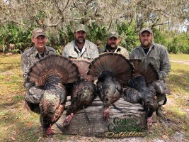 Alligator, Hog, Turkey