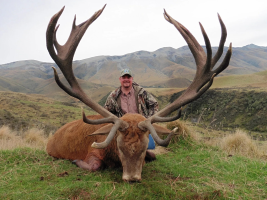 Red Stag, Tahr, Arapawa Ram, Fallow, Elk, Goat, Rusa