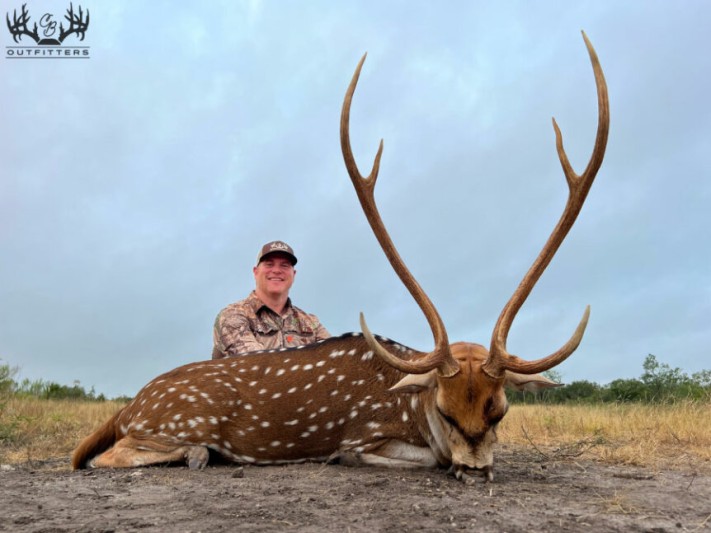 free range axis hunts in Texas<br>