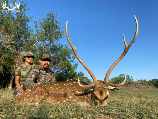 free range axis hunts in Texas<br>