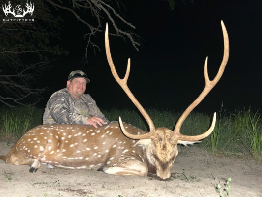 free range axis hunts in Texas
