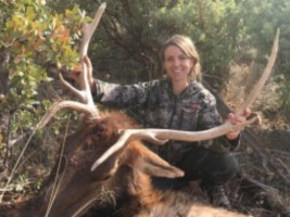 Mule Deer, Coues Deer, Elk, Javelina