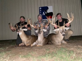 Whitetail, Blackbuck, Axis, Fallow, Red Stag, Oryx