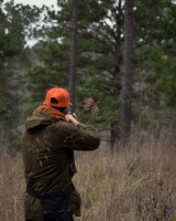 Quail, Pheasant, Chukar