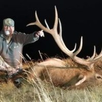 Whitetail, Mule Deer, Antelope, Elk, Buffalo, Mountain Lion, Black Bear, Turkey, Waterfowl, Upland Bird