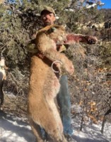 Mountain Lion, Black Bear, Bobcat, Javalina, Elk, Mule Deer, Antelope, Turkey